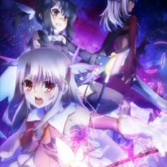 Summer 2014 - Fate Kaleid 2