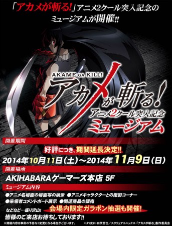 Akame Ga Kill - Gamers Akihabara - 45
