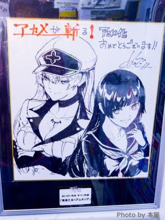Akame Ga Kill - Gamers Akihabara - 53