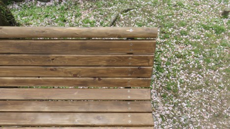 Hibike! Euphonium 2D vs 3D -  (29)