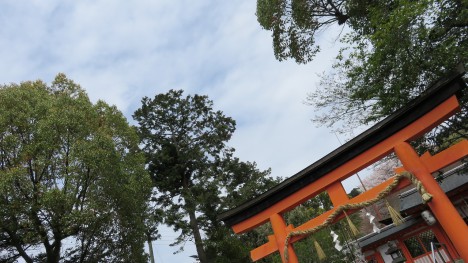 Hibike! Euphonium 2D vs 3D -  (50)