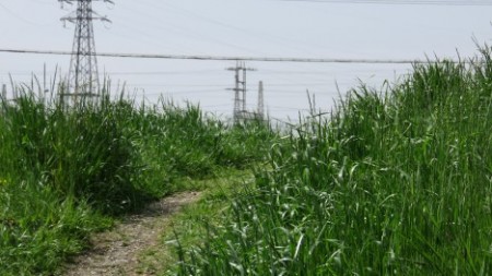 Hibike! Euphonium 2D vs 3D -  (61)