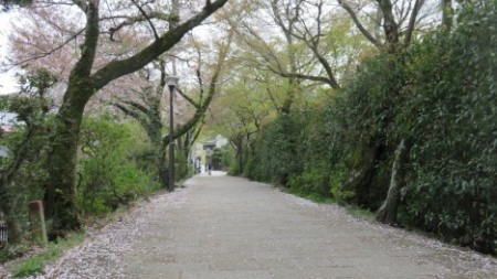 Hibike! Euphonium 2D vs 3D -  (62)