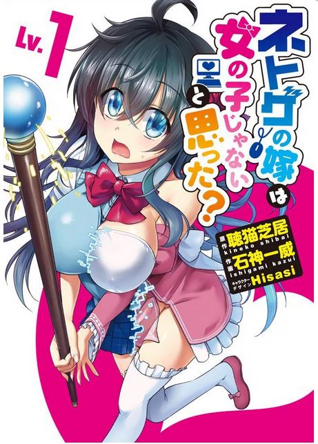Netoge no Yome wa Onna no Ko ja nai to Omotta - light novel 2