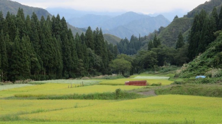 anime turismo - Non Non Biyori Repeat - Cenarios 07 B
