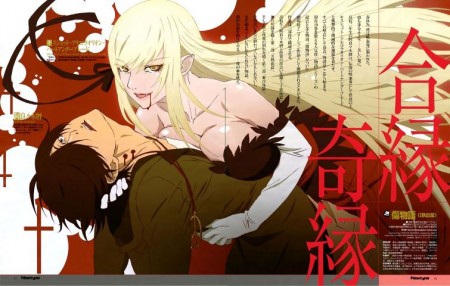 Kizumonogatari - newtype visual 1