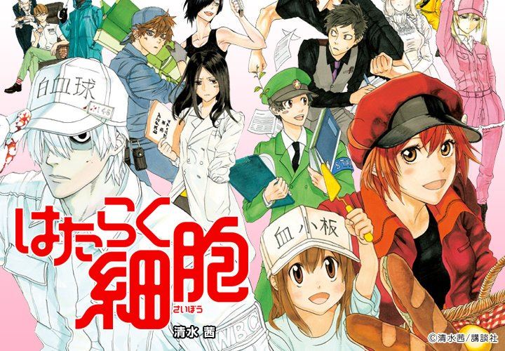 Hataraku Saibou!! - Macrophage ❀  Anime, Personagens de anime, Personagens