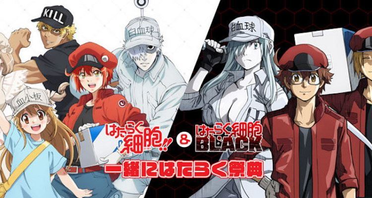 Por prevenção de resfriados, personagens de Hataraku Saibou estão querendo  verificar sua temperatura » Anime Xis