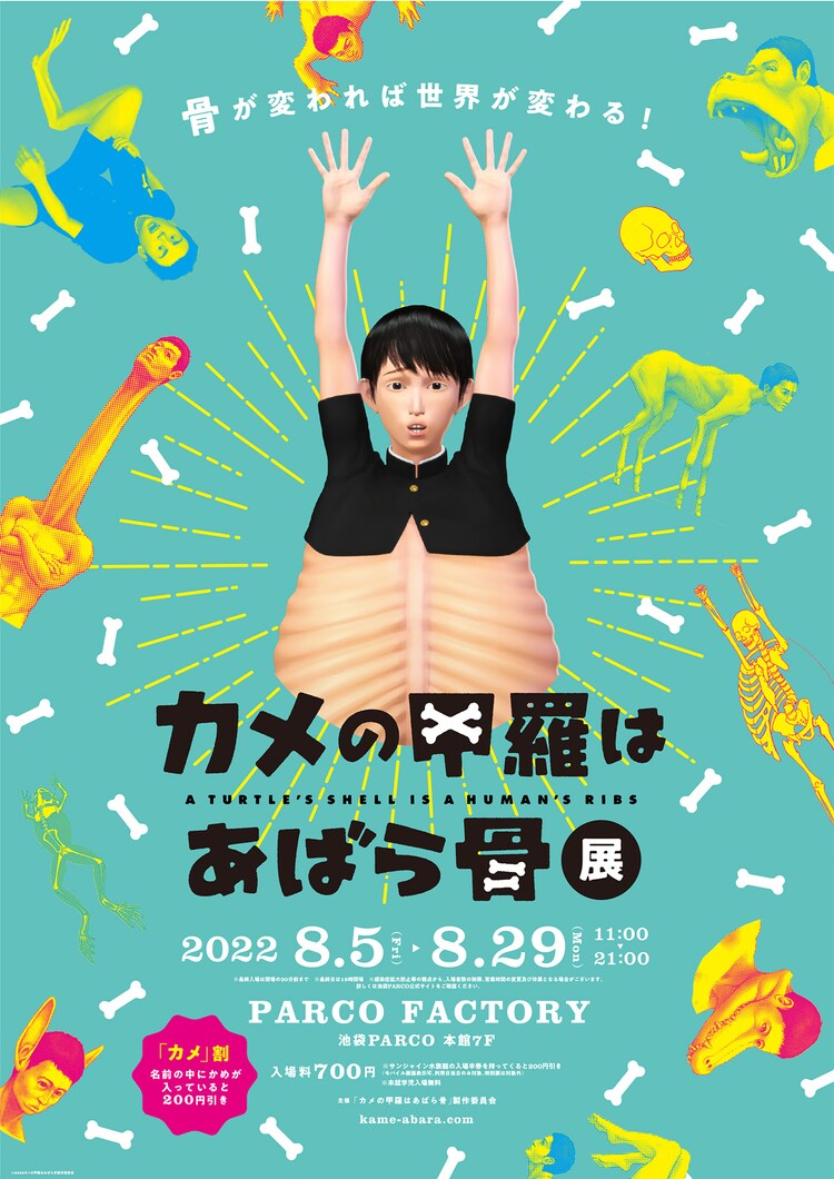 A Turtle’s Shell Is a Human’s Ribs