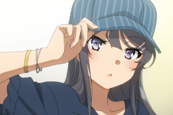 Assistir Seishun Buta Yarou wa Bunny Girl Senpai no Yume wo Minai -  Episódio 013 Online em HD - AnimesROLL